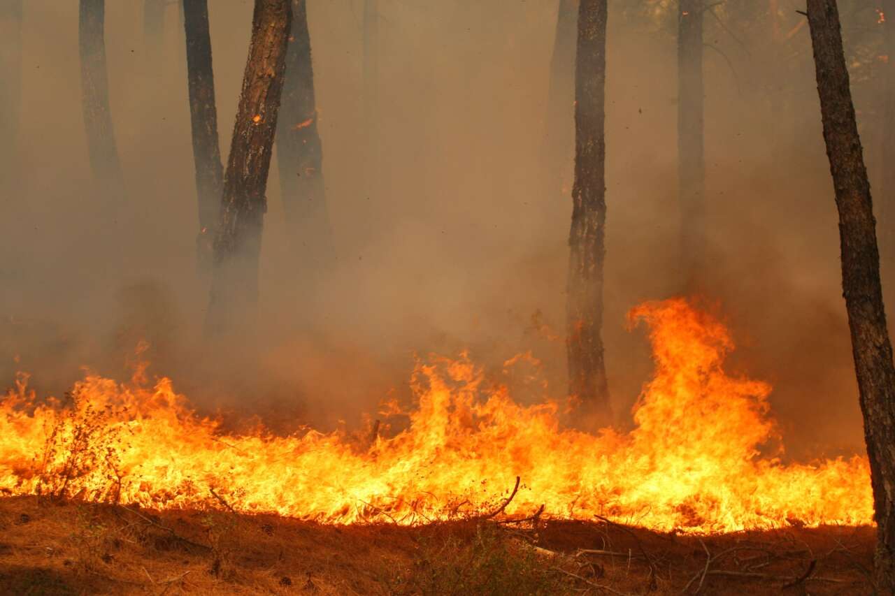 Muğla ve Aydın’da 2025’te 429 Yangın! 3 Bin 800 Dönüm Alan Kül Oldu 4